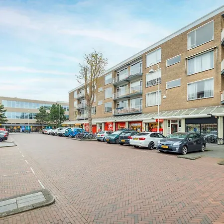 Stunning Artist Zen Guest At Heart Of