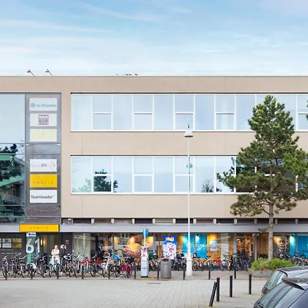 Stunning Artist Zen Guest At Heart Of