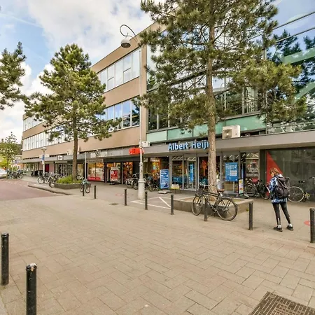 Stunning Artist Zen Guest At Heart Of Amsterdam